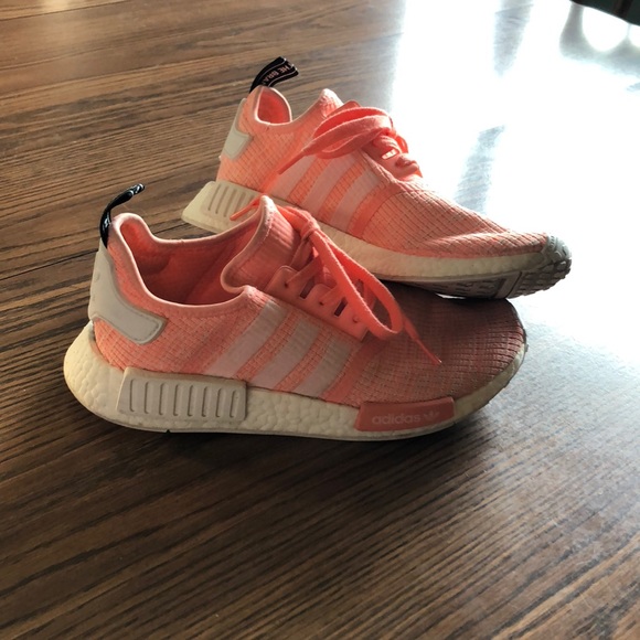 coral nmds
